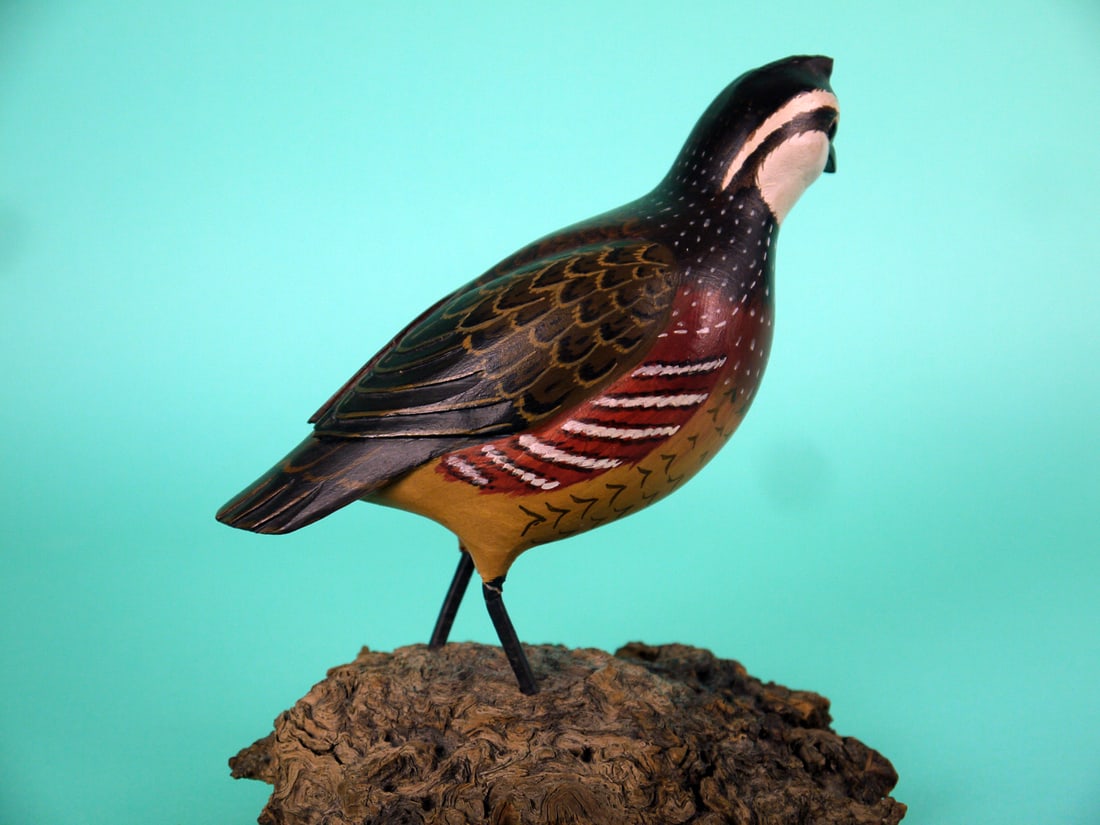 QUAIL, H.V. SHOURDS - 2