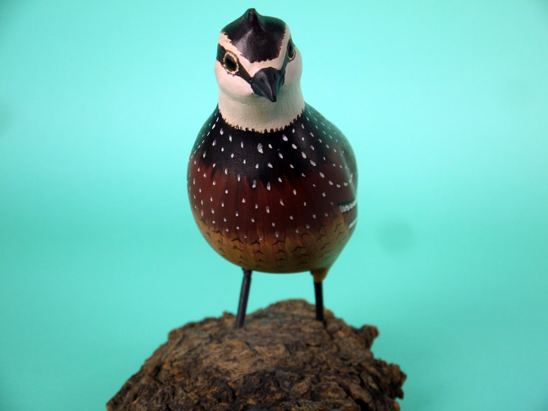 QUAIL, H.V. SHOURDS - 3
