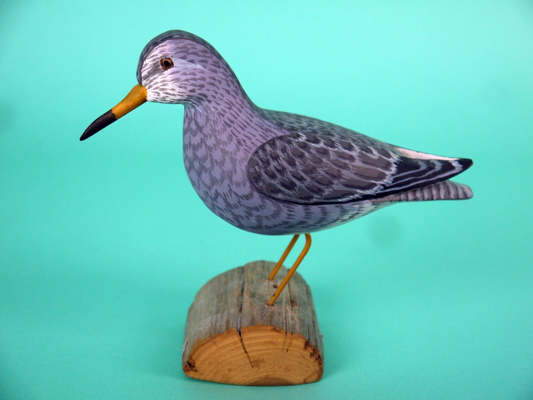 PURPLE SANDPIPER, H.V. SHOURDS: PURPLE SANDPIPER by Harry V. Shourds, Seaville, NJ. Excellent original paint and structural condition. Detailed painted feather work overall. Raised wing tips and carved and painted eyes. Mounted on w