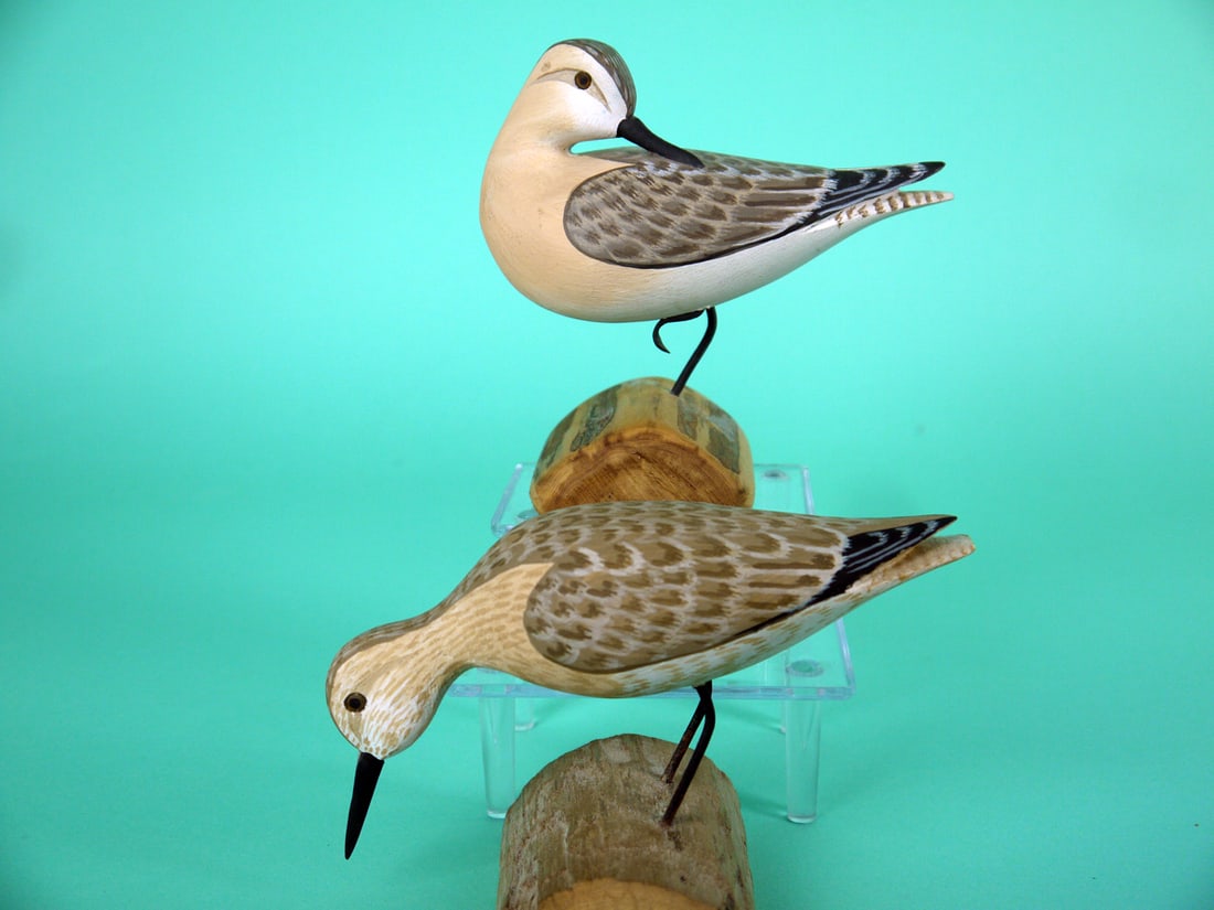 TWO SANDERLINGS, H.V. SHOURDS: TWO SANDERLINGS by Harry V. Shourds, Seaville, NJ. Very good original paint and structural condition. Both with detailed painted feather work to backs and wings. Both with raised wing tips. One is a