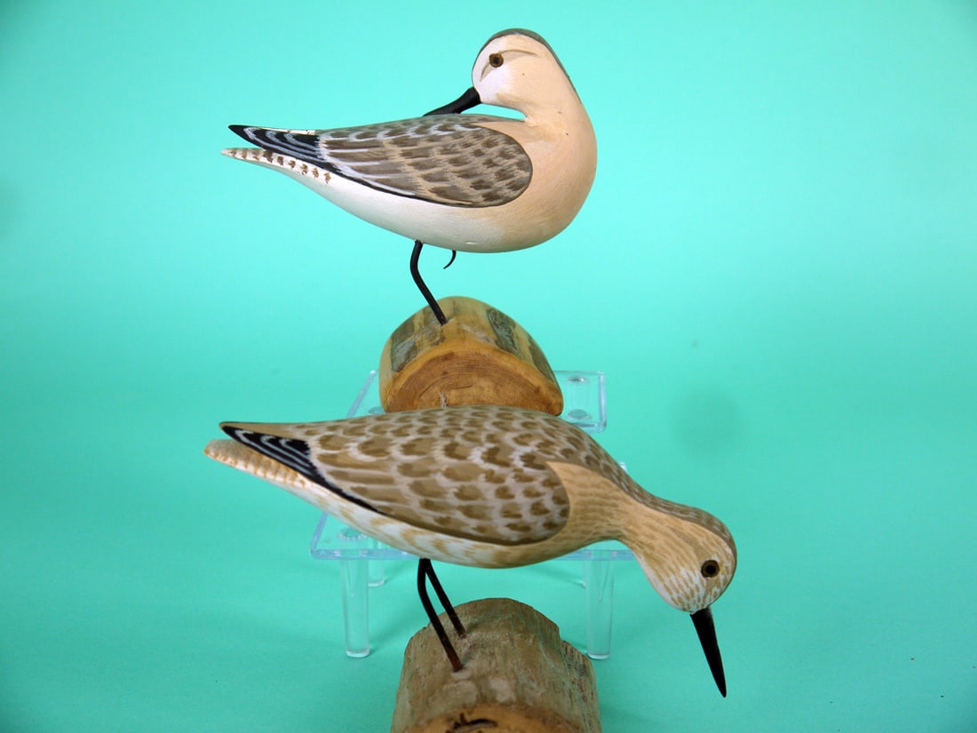 TWO SANDERLINGS, H.V. SHOURDS - 2