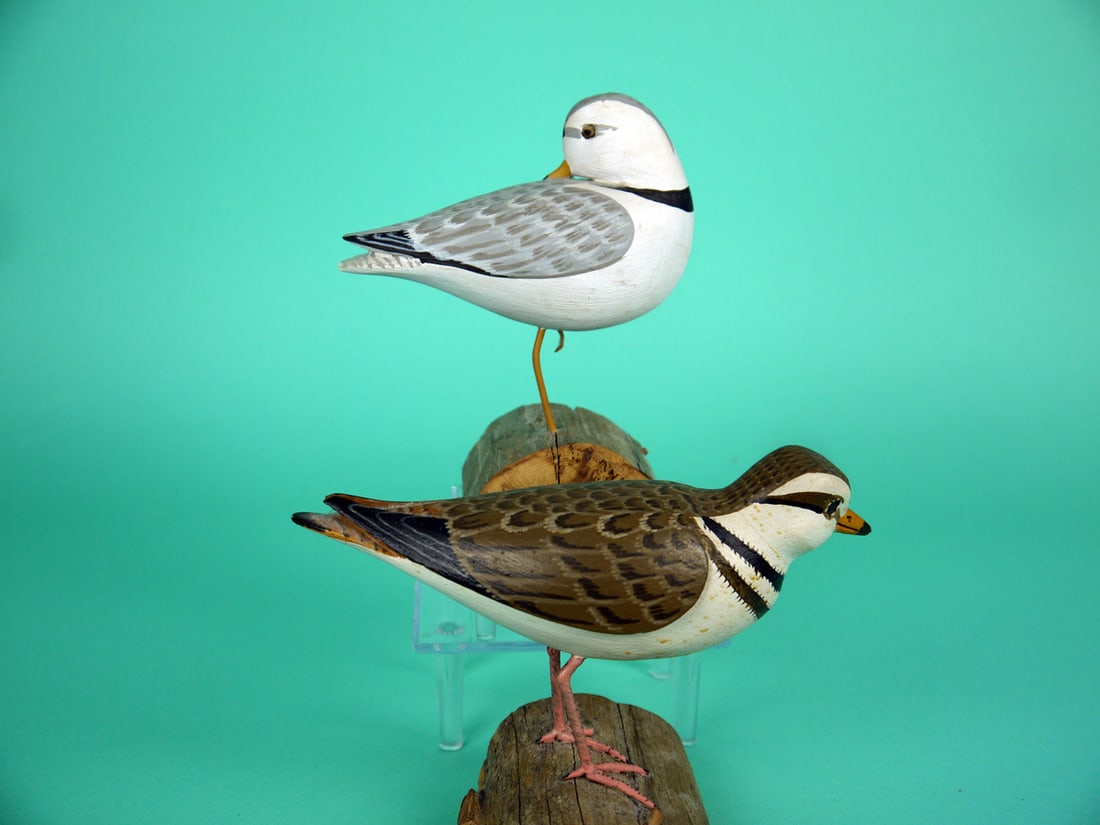 PIPING PLOVER/SEMI-PALMATED PLOVER, H.V. SHOURDS: PIPING PLOVER by Harry V. Shourds, Seaville, NJ. Very good original paint and structural condition. Preening model with painted feather detail to back and wings. Split-tail carving and carved eyes.