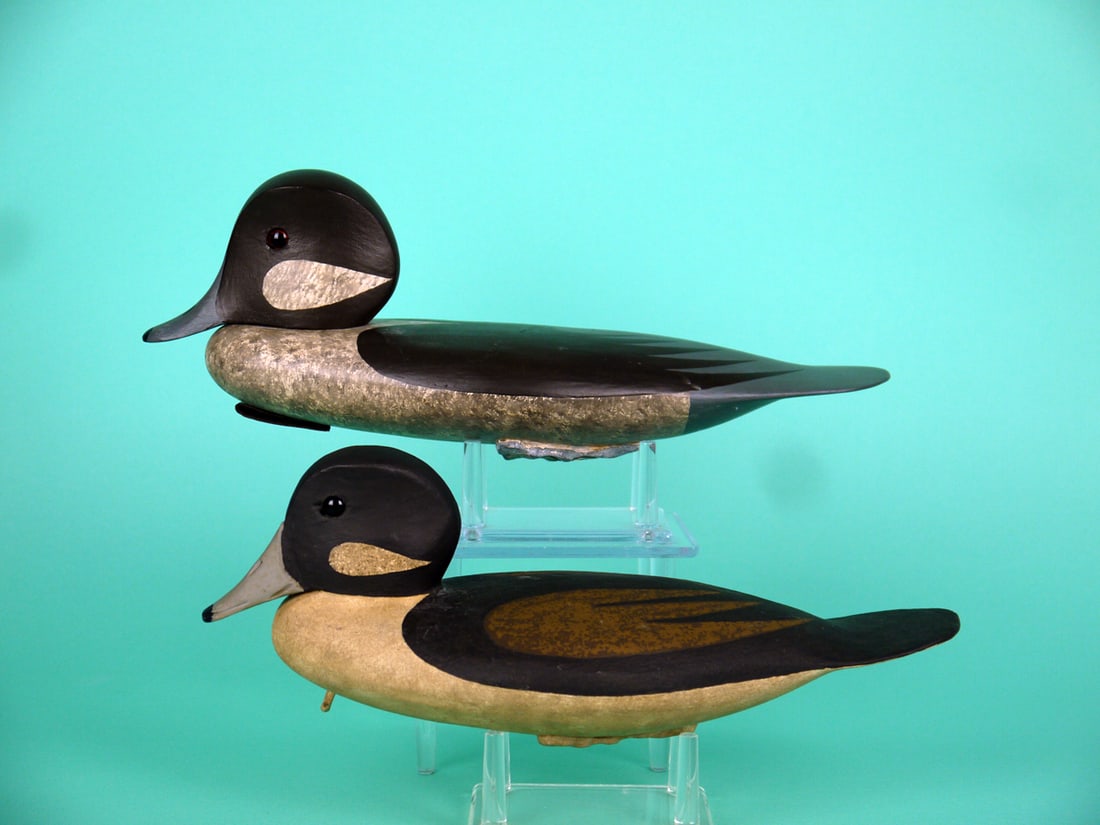 TWO BUFFLEHEAD HENS, R. DALEY: TWO BUFFLEHEAD HENS by Rob Daley, West Creek, NJ. Very good original paint and structural condition. Hollow construction. Snug-head models. Both signed by the maker and retain butterfly weights.