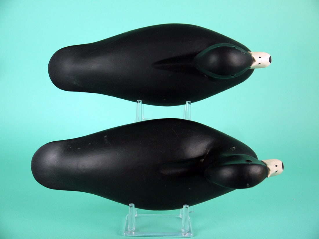 TWO COOT, R. DALEY - 3