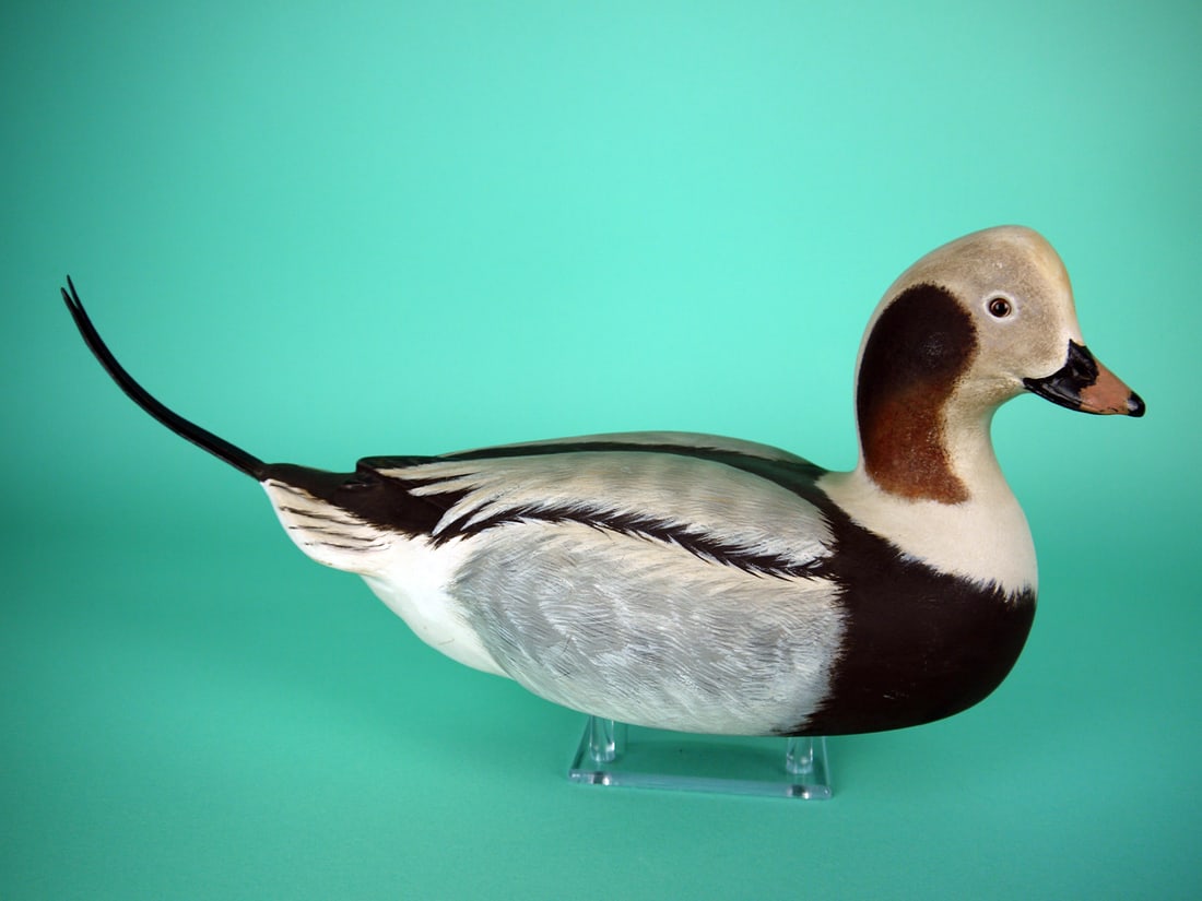 LONG-TAILED DRAKE, P. DOBROSKY: LONG-TAILED DRAKE by Paul Dobrosky, Shrewsbury, NJ. Excellent original paint and structural condition. Hollow construction. Painted feather detail to back and sides. Relief-carved wings with crossed w