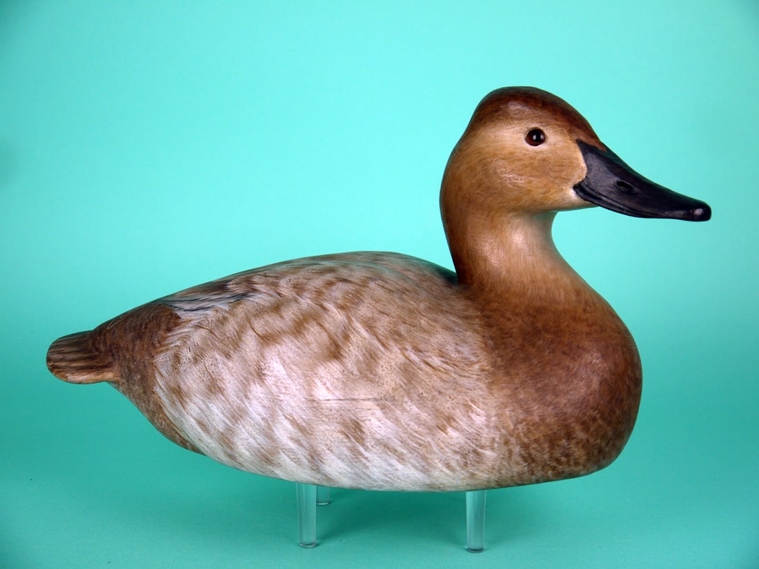 CANVASBACK HEN, P. DOBROSKY: CANVASBACK HEN by Paul Dobrosky, Shrewsbury, NJ. Excellent original paint and structural condition. Hollow construction. Gunning model with relief-carved wings. Head is slightly turned and retains gla