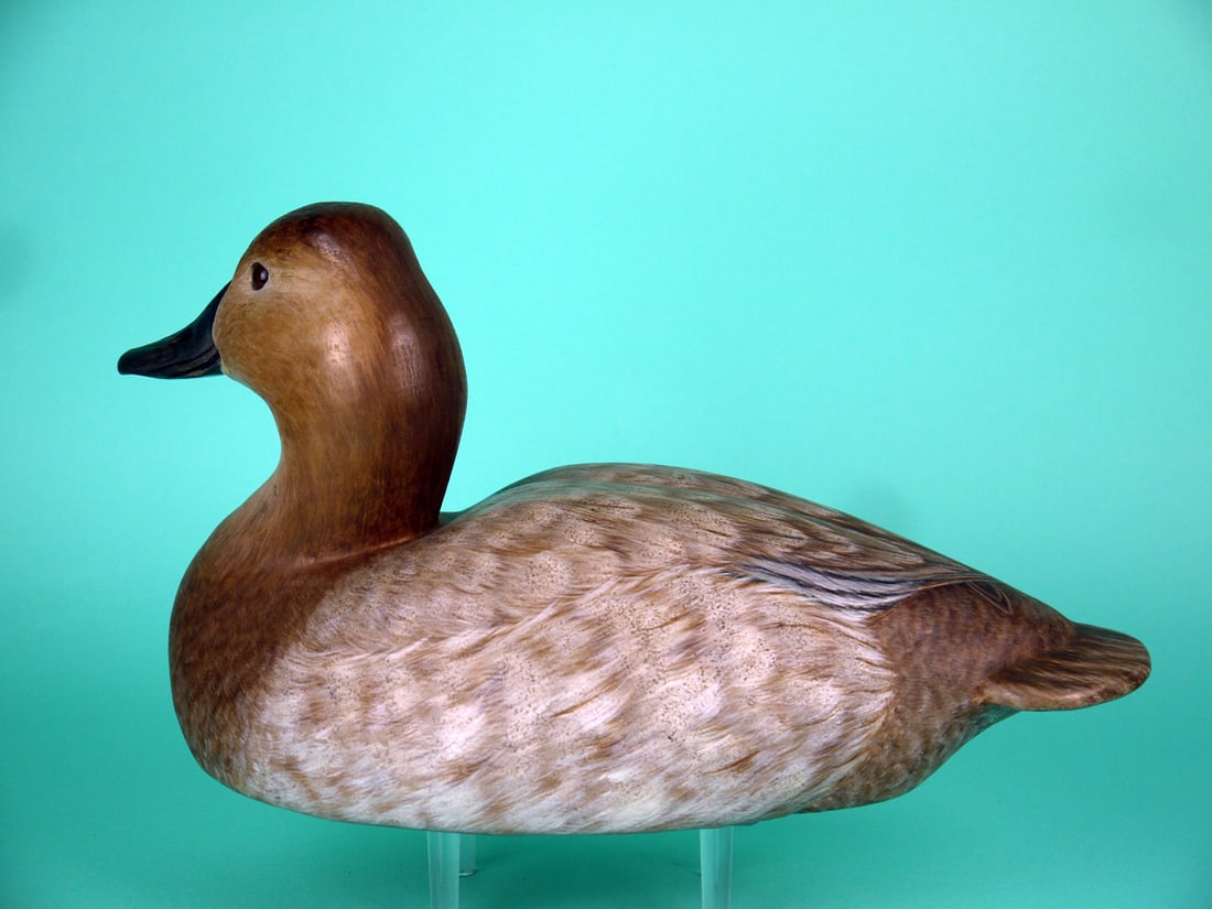 CANVASBACK HEN, P. DOBROSKY - 2