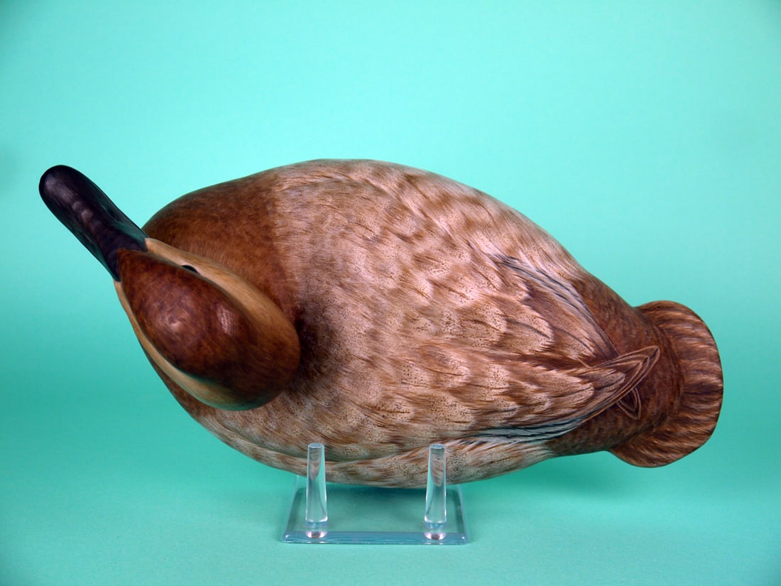 CANVASBACK HEN, P. DOBROSKY - 3