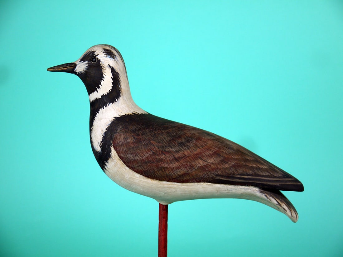 RUDDY TURNSTONE, P. DOBROSKY: RUDDY TURNSTONE by Paul Dobrosky, Shrewsbury, NJ. Excellent original paint and structural condition. Relief-carved wings and split-tail carving. Very detailed painted feather work to the back.