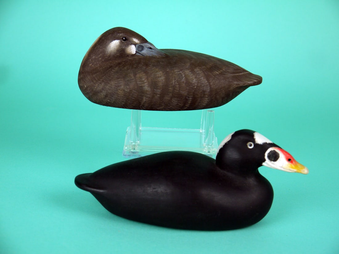 MINIATURE SURF SCOTER PAIR, P. DOBROSKY: PAIR OF MINIATURE SURF SCOTERS by Paul Dobrosky, Shrewsbury, NJ. Excellent original paint and structural condition. The hen, with head resting on back, with detailed painted feather work and slightly
