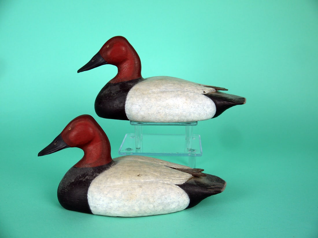 TWO ONE-THIRD SIZE CANVASBACK DRAKES, M. HAGER (1 of 4)