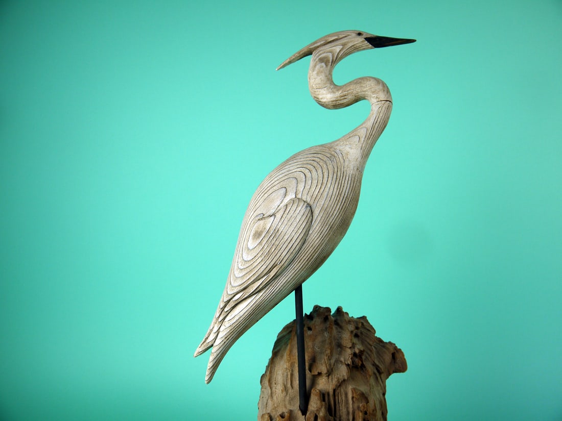 SNOWY EGRET, W. OLER - 2