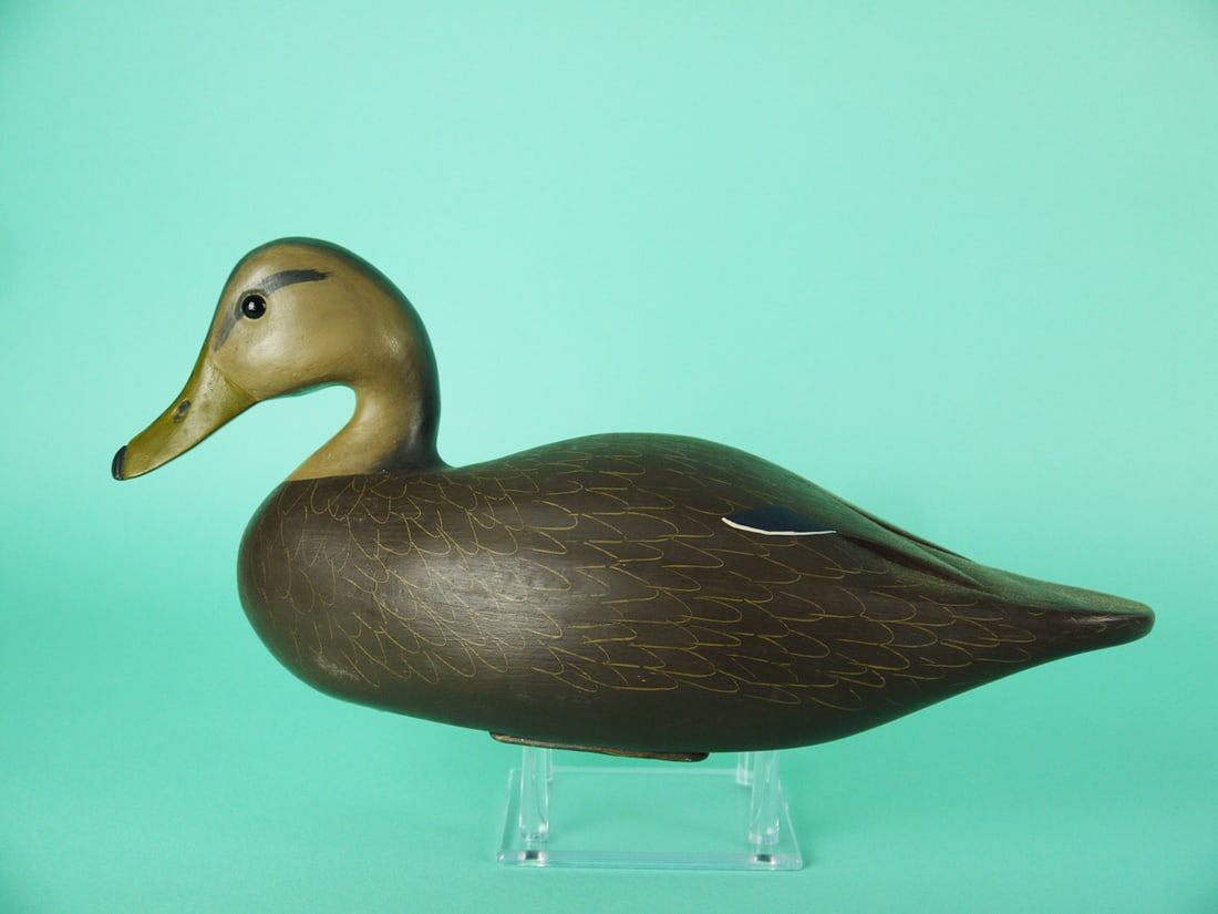 BLACK DUCK, W. OLER: BLACK DUCK by Walter Oler, Chincoteague, VA. Very good original paint and structural condition. Hollow construction. Deep ice groove and incised wing tips. Scratch-feather paint detail to body.