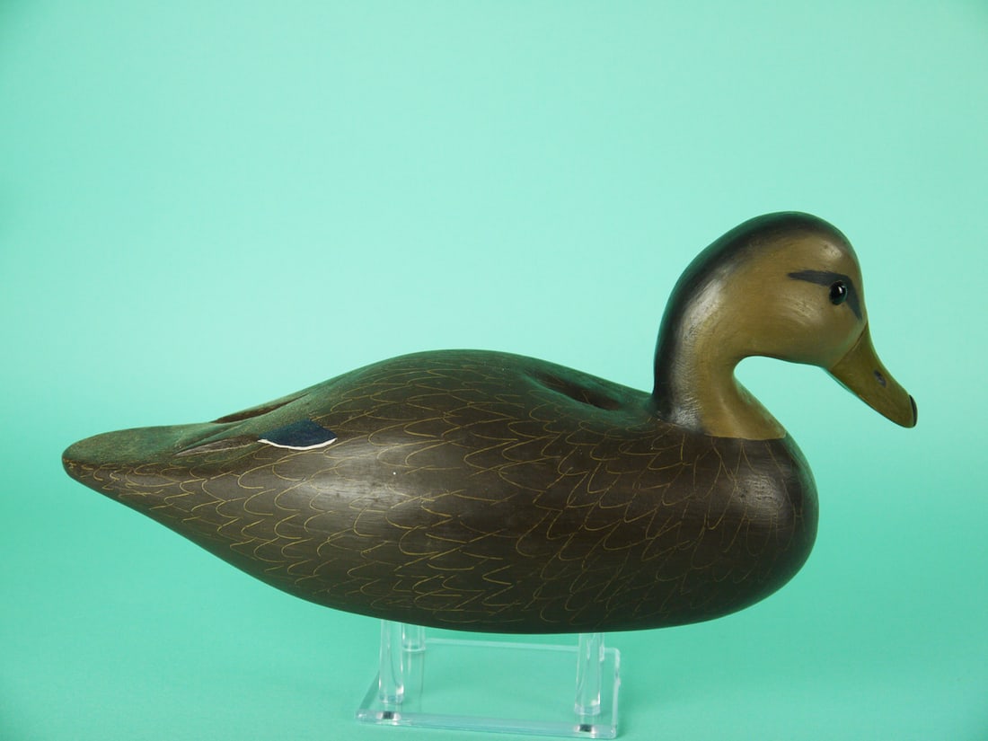 BLACK DUCK, W. OLER - 2