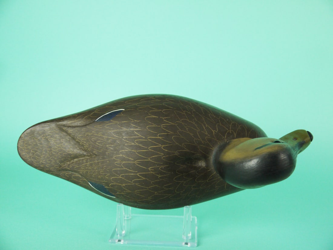BLACK DUCK, W. OLER - 3