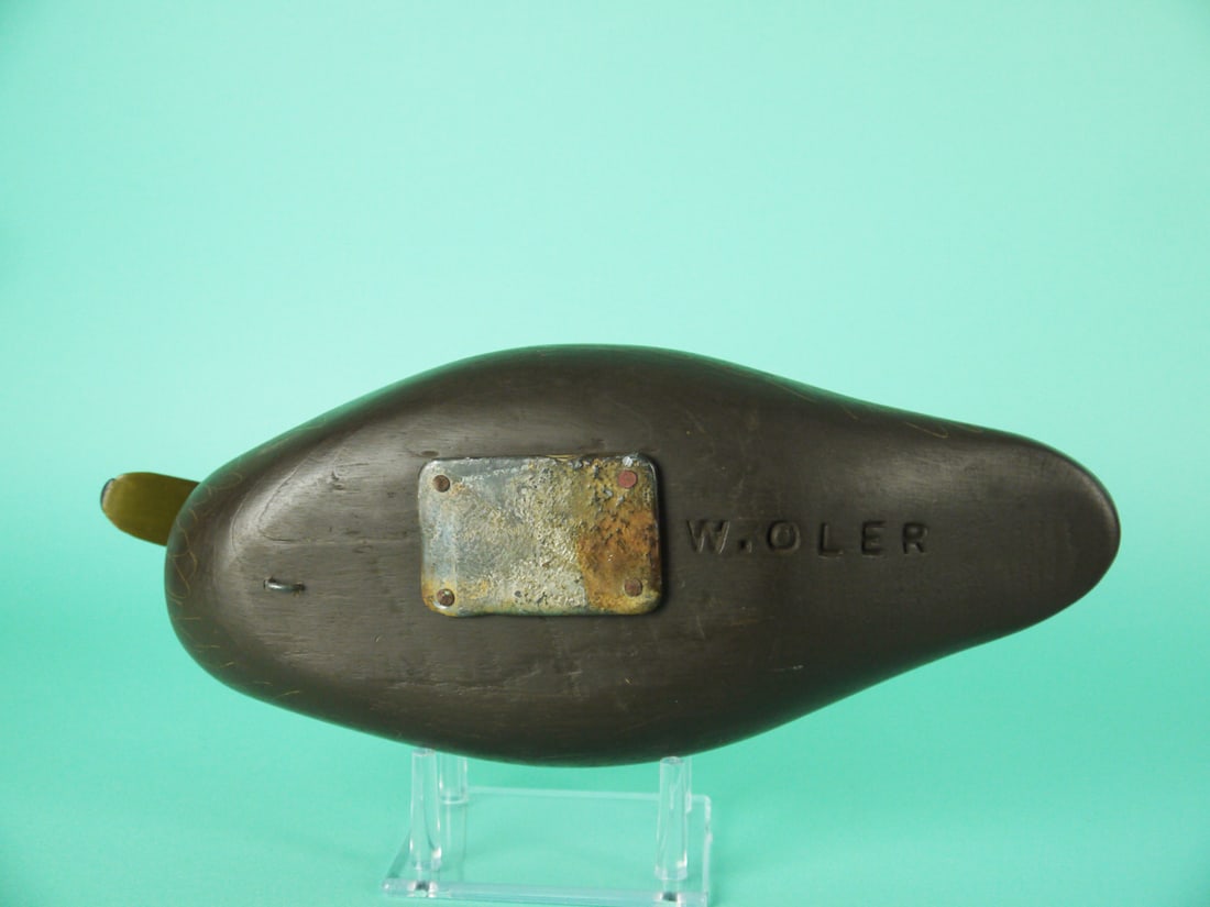 BLACK DUCK, W. OLER - 4