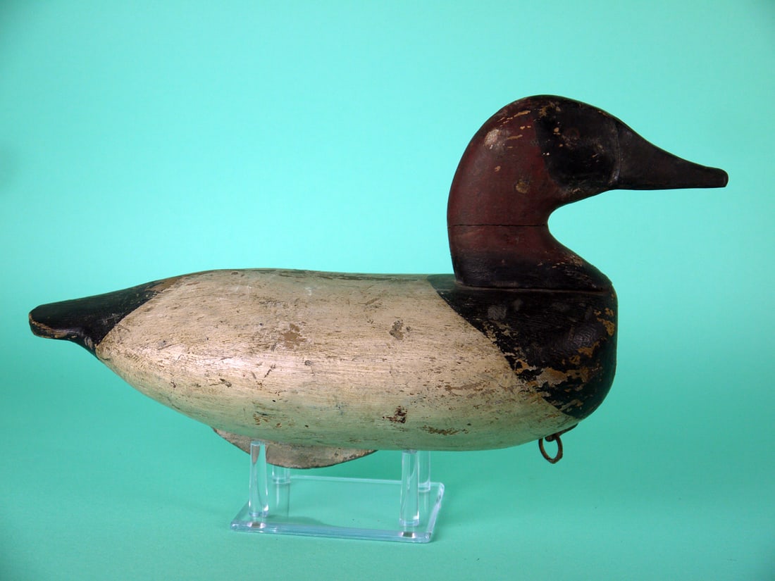 CANVASBACK DRAKE, UPPER BAY - 2