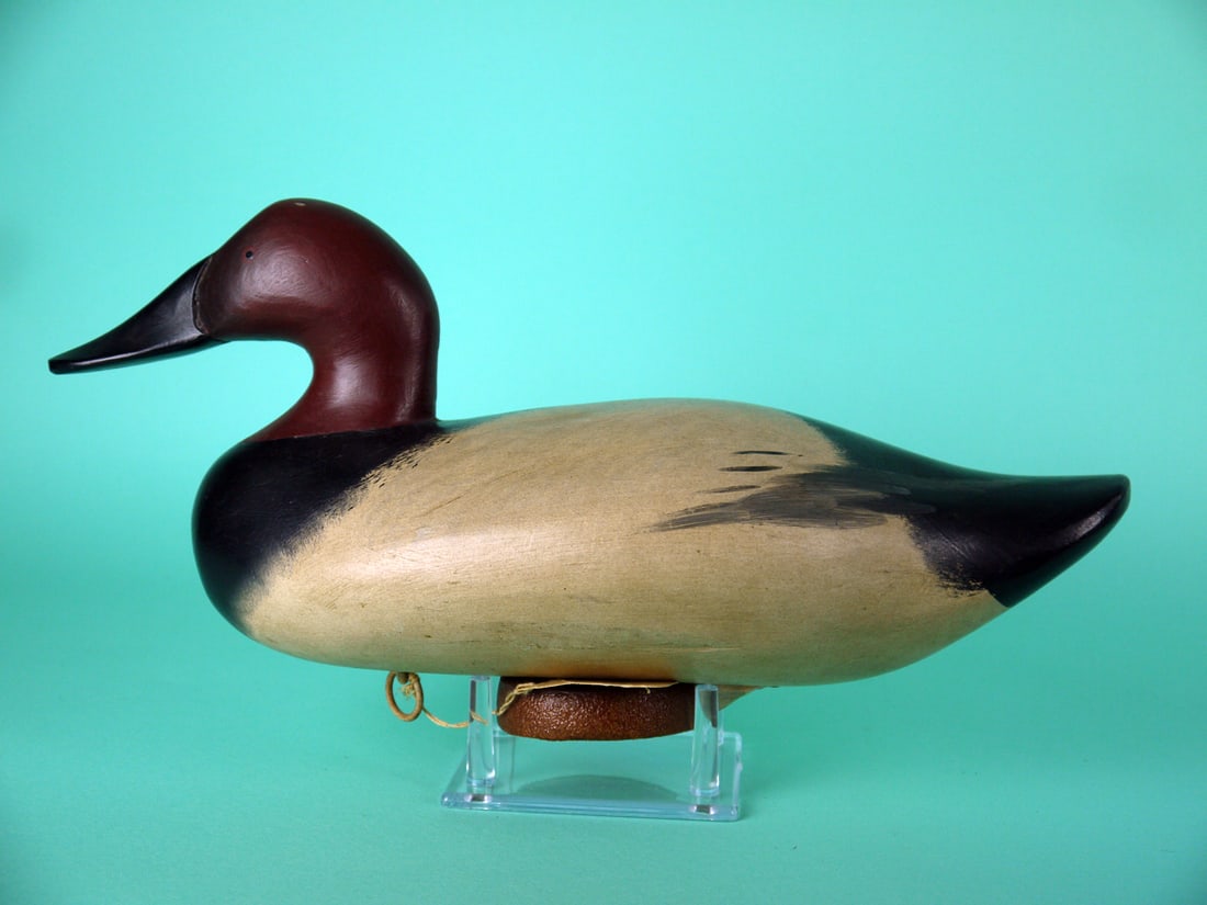 CANVASBACK DRAKE, J. PIERCE (1 of 4)