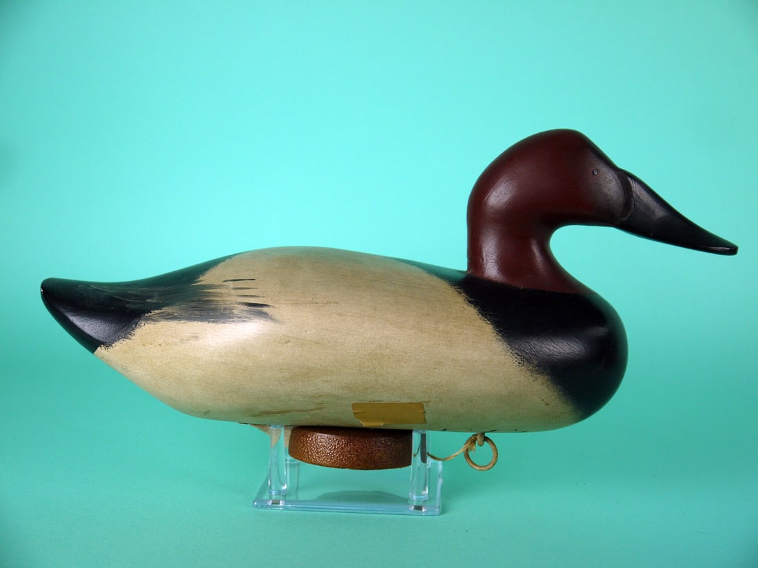 CANVASBACK DRAKE, J. PIERCE - 2