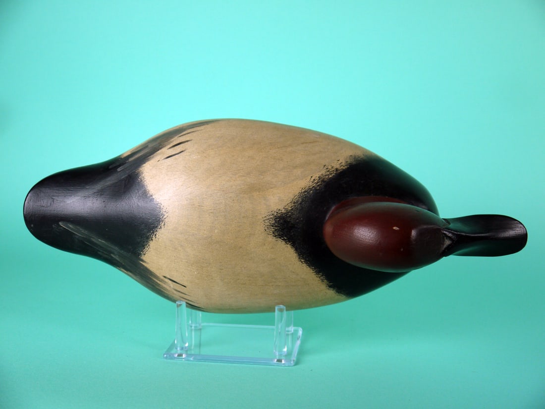 CANVASBACK DRAKE, J. PIERCE - 3