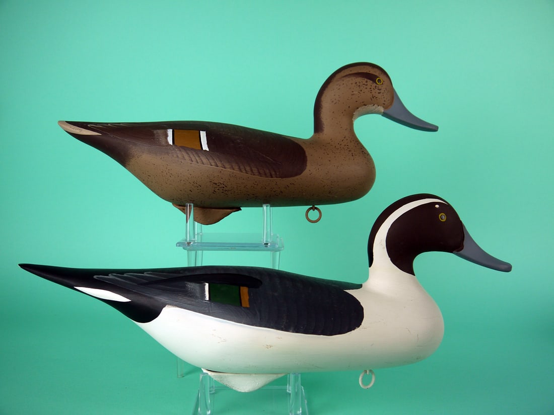 PINTAIL PAIR, P. VINCENTI - 2