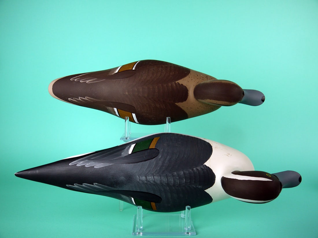 PINTAIL PAIR, P. VINCENTI - 3