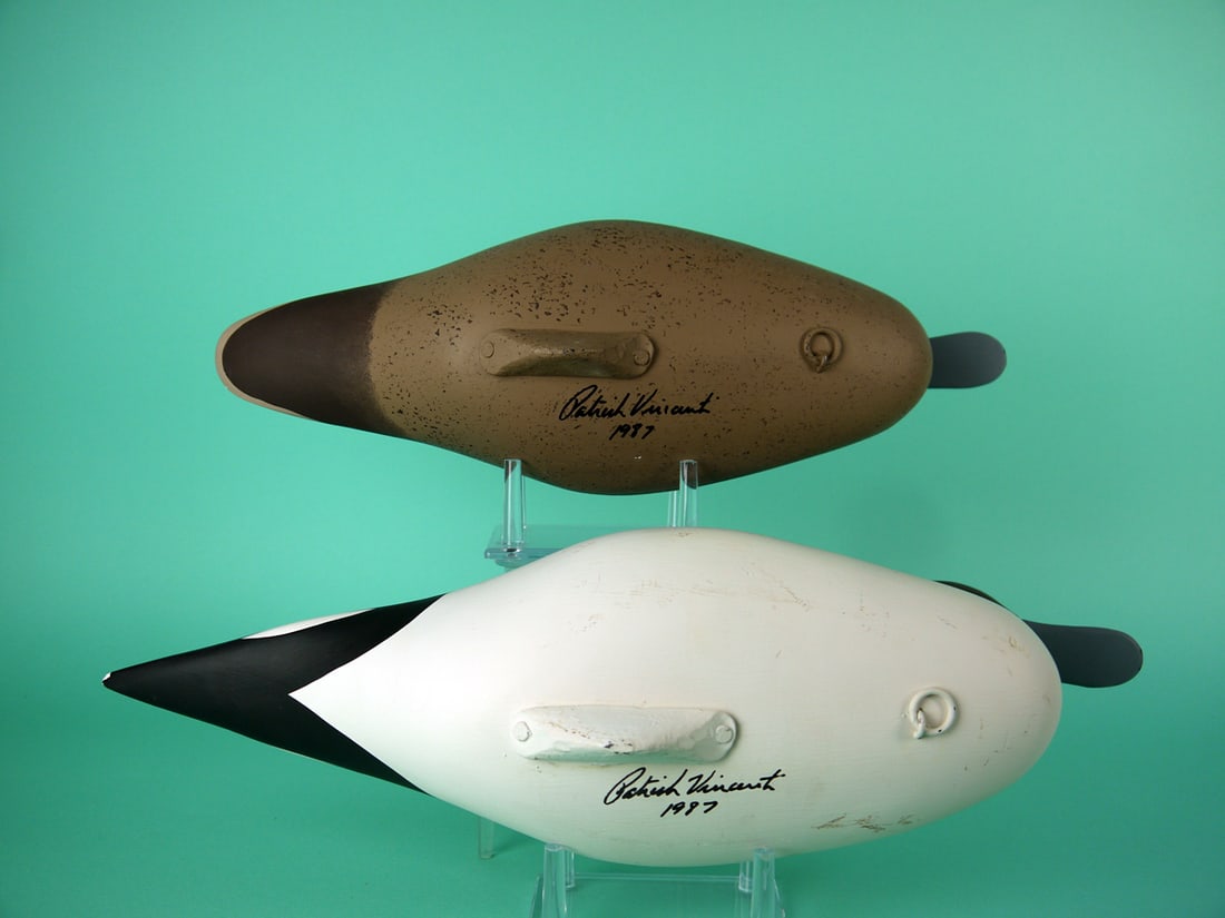 PINTAIL PAIR, P. VINCENTI - 4