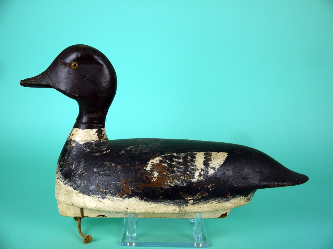 GOLDENEYE HEN, F. COOMBS (1 of 4)