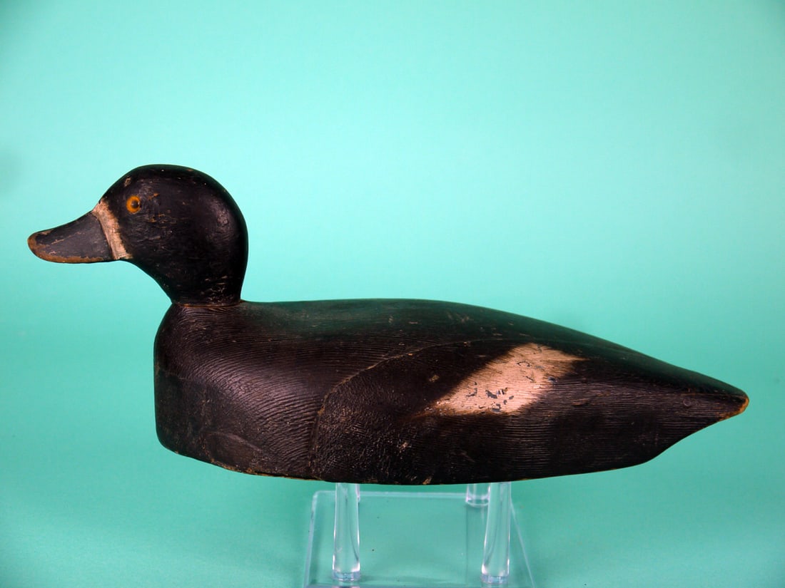 BLUEBILL HEN, NEW YORK STATE: DAINTY BLUEBILL HEN, New York state, unknown carver. Very good original paint and structural condition with some in-use wear. Wood seam visible on back and underside. Painted speculum detail. Retains