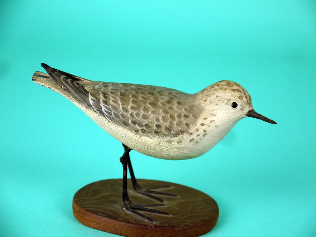 SANDERLING, P. PELTZ: SANDERLING by Peter Peltz, East Sandwich, MA. Excellent original paint and structural condition. Detailed painted feather work overall. Raised wing tips and slightly turned head. Mounted on wire legs 