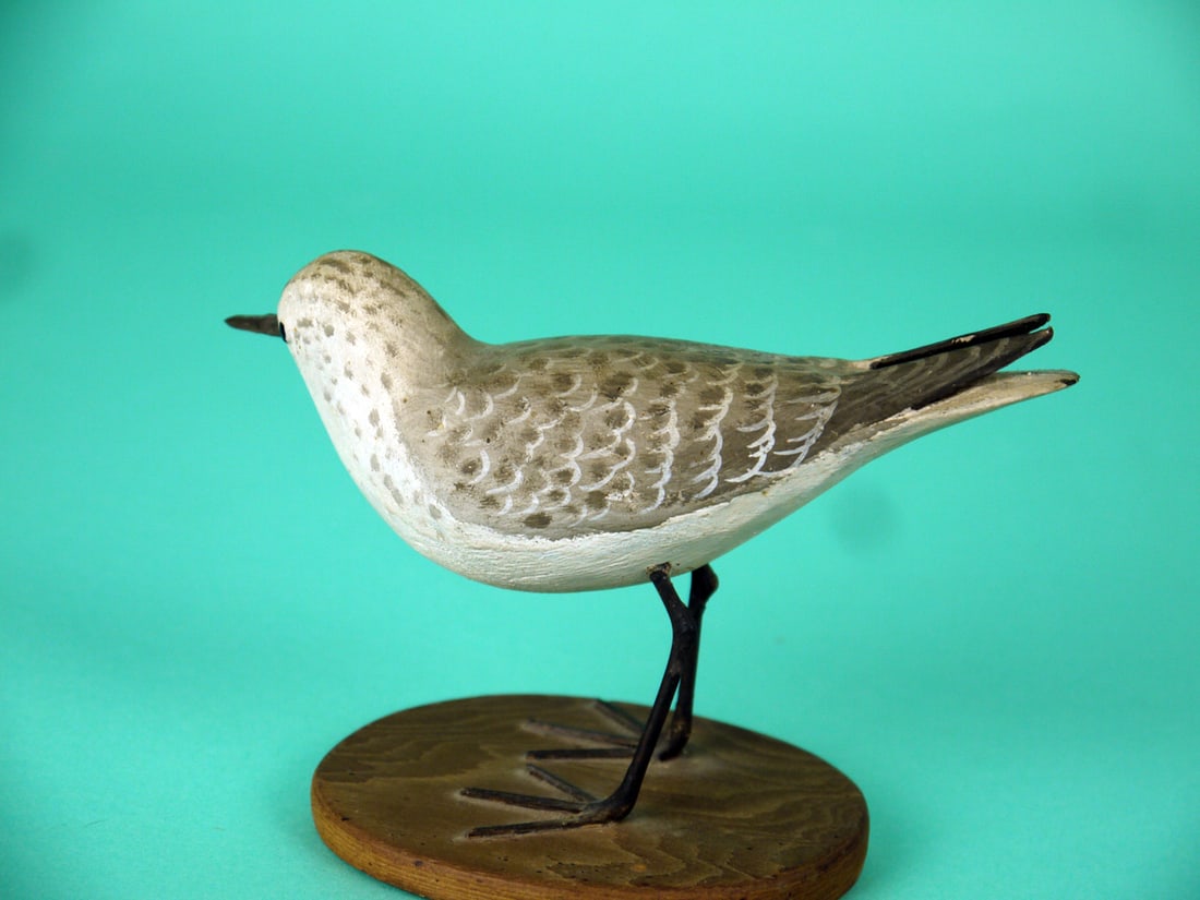 SANDERLING, P. PELTZ - 2