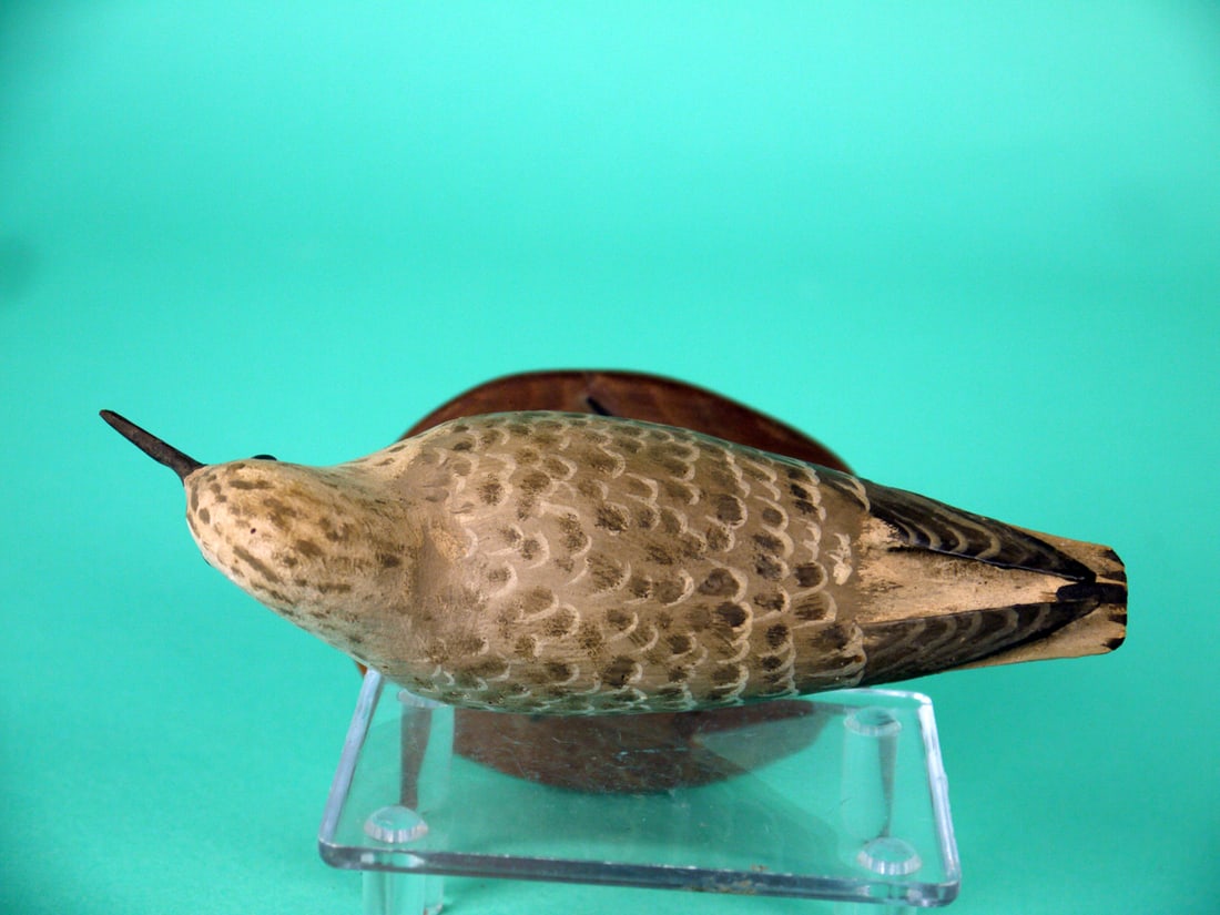 SANDERLING, P. PELTZ - 3