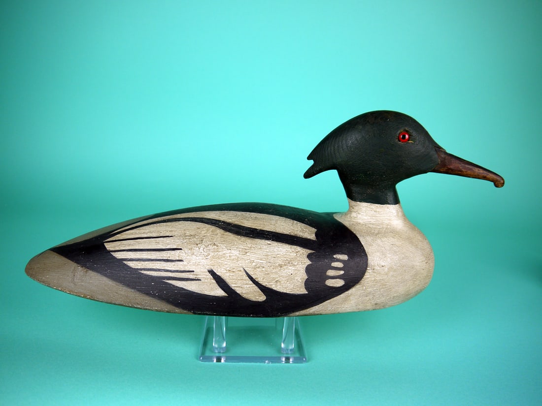 COMMON MERGANSER DRAKE, MAINE (1 of 4)
