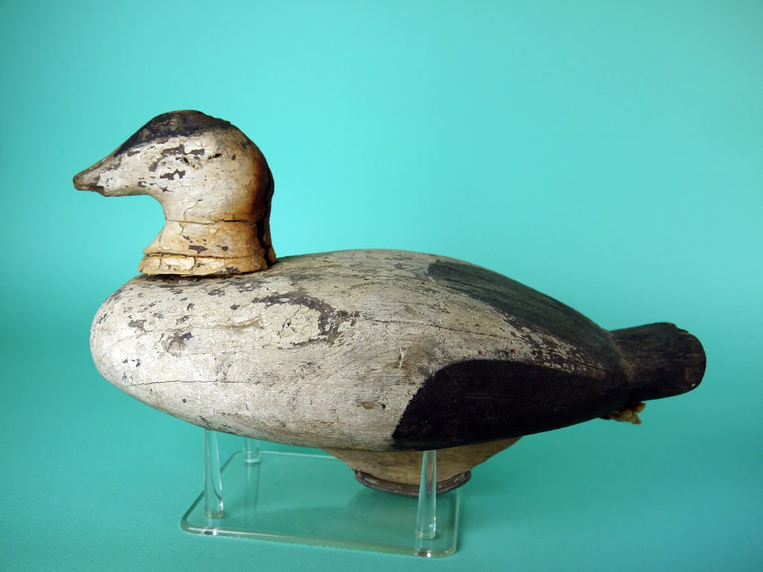 TWO EIDERS, PRINCE EDWARD ISLAND - 2