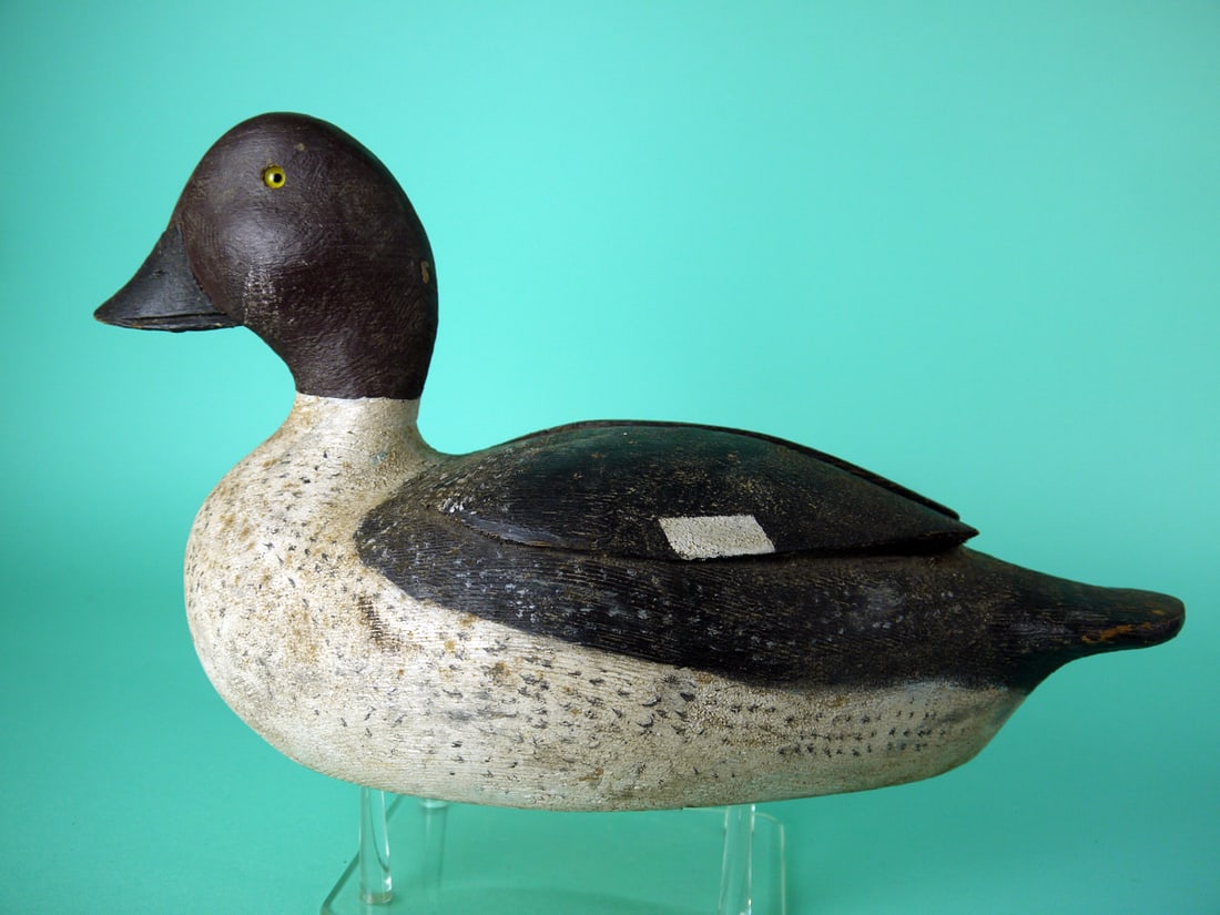 GOLDENEYE HEN, P, GUYON (1 of 4)