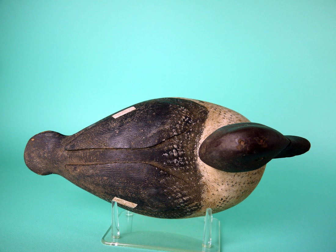 GOLDENEYE HEN, P, GUYON - 3