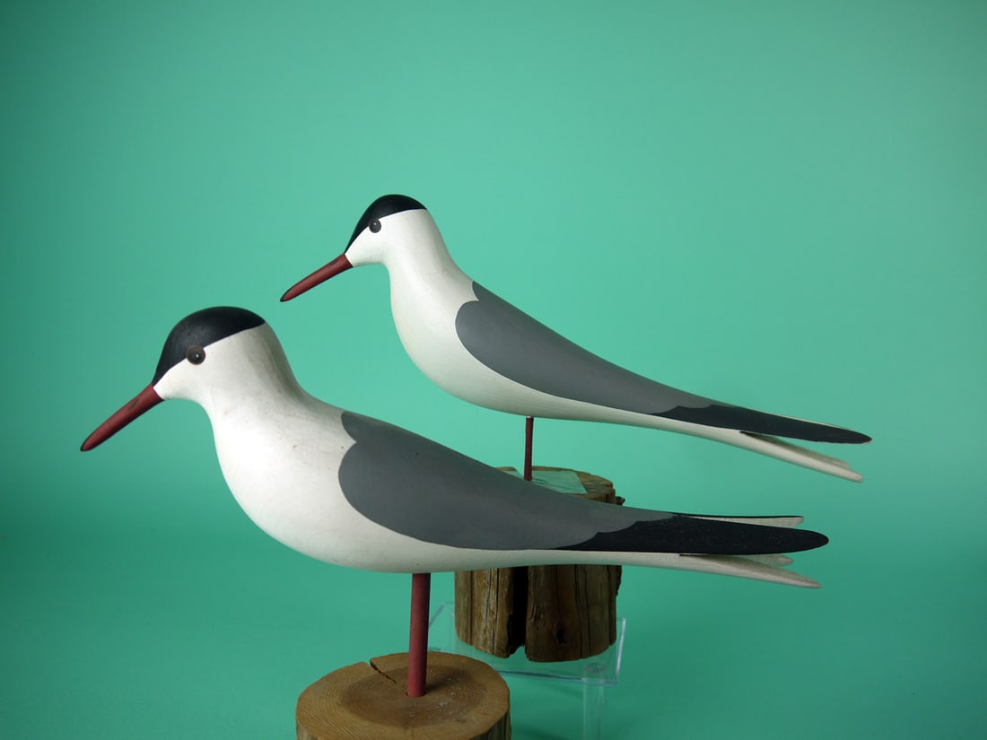 TWO TERNS, J.P. HAND: TWO TERNS by Jamie P. Hand, Cape May Courthouse, NJ. Excellent original paint and structural condition. Both with raised wing tips. Painted eye detail. One is mounted on wire legs. Both atop custom ba
