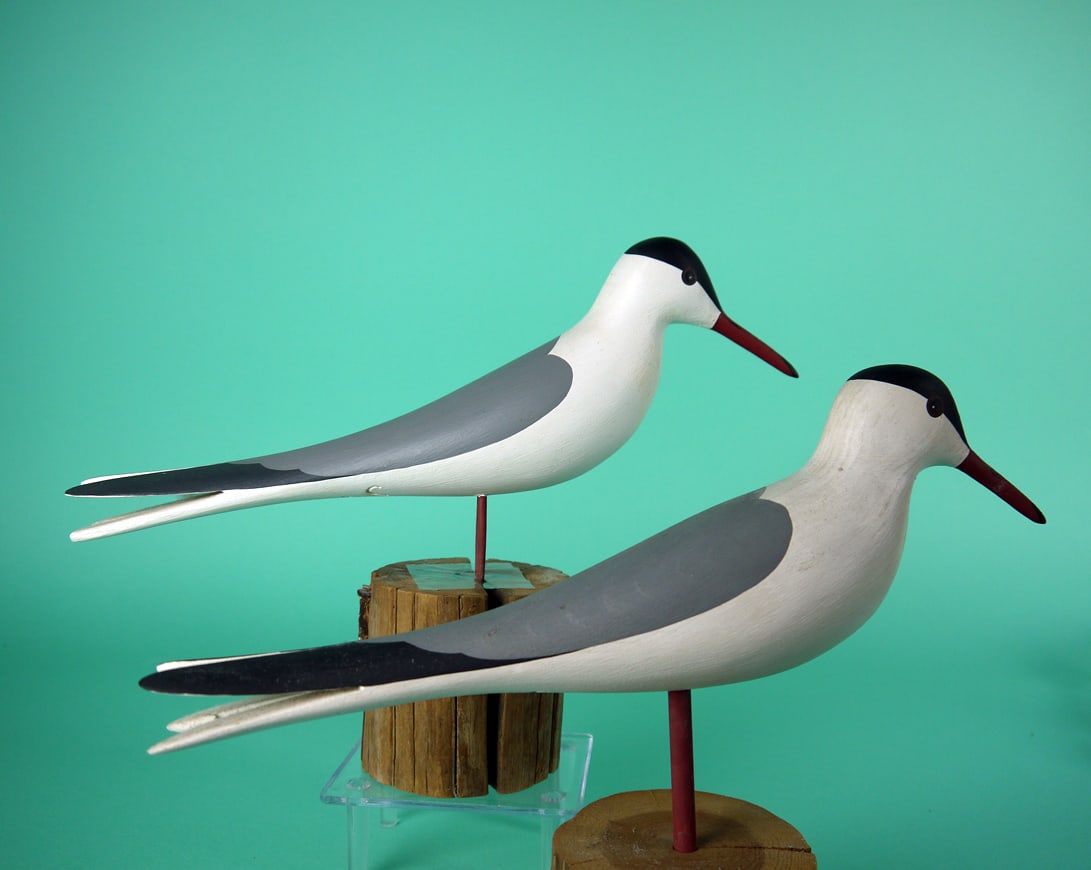 TWO TERNS, J.P. HAND - 2