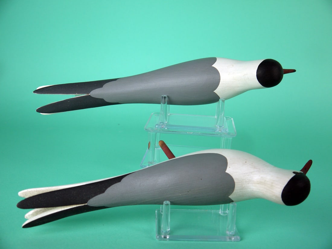 TWO TERNS, J.P. HAND - 3