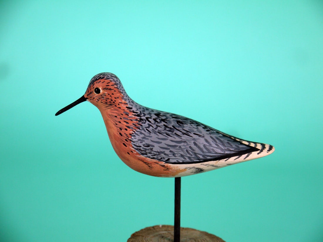 MINIATURE RED KNOT, A. HILLMAN (1 of 4)