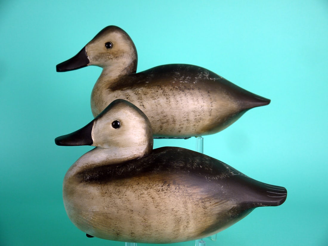 RUDDY DUCK PAIR, G. MARSHALL: PAIR OF RUDDY DUCKS by Gene Marshall, Forked River, NJ. Very good original paint with areas of sap bleed. Very good structural condition. Hollow construction. Full-bodied carvings with broad bills