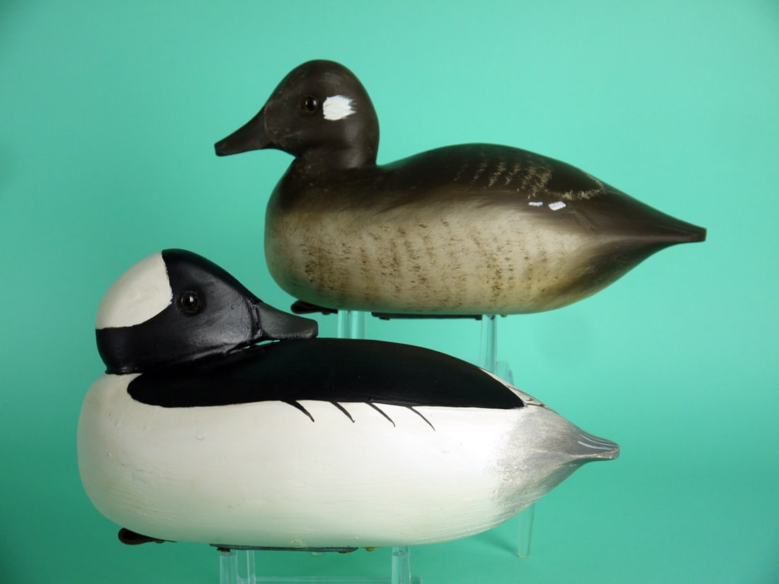 BUFFLEHEAD PAIR, G. MARSHALL (1 of 3)
