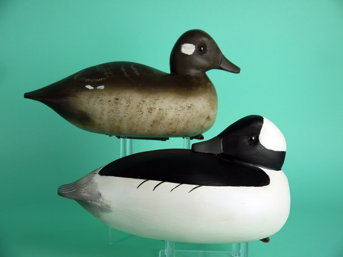 BUFFLEHEAD PAIR, G. MARSHALL - 2