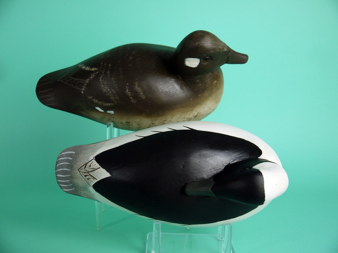 BUFFLEHEAD PAIR, G. MARSHALL - 3