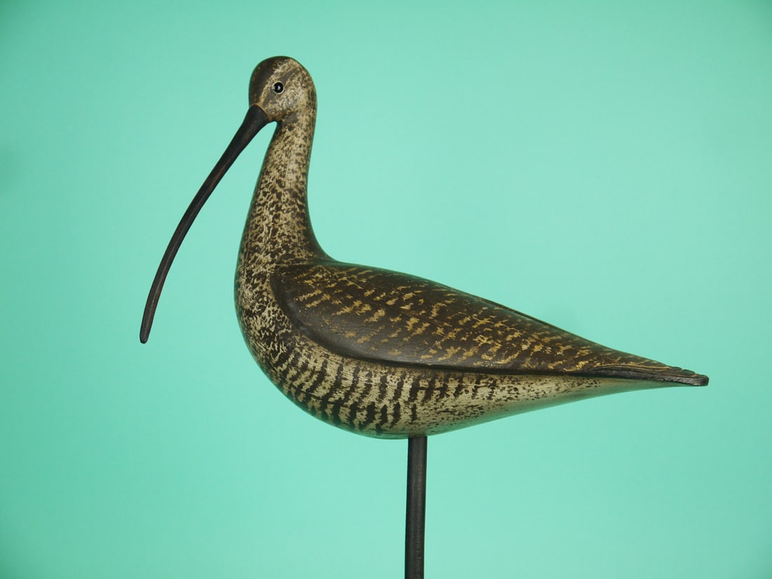 LONG-BILLED CURLEW, S. MOREY: VERY FINE LONG-BILLED CURLEW by Steve Morey, Tuckerton, NJ. Very good original paint and structural condition. Hollow construction. Preening model with relief-carved wings, wing separation and carved