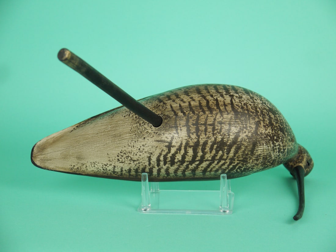 LONG-BILLED CURLEW, S. MOREY - 4
