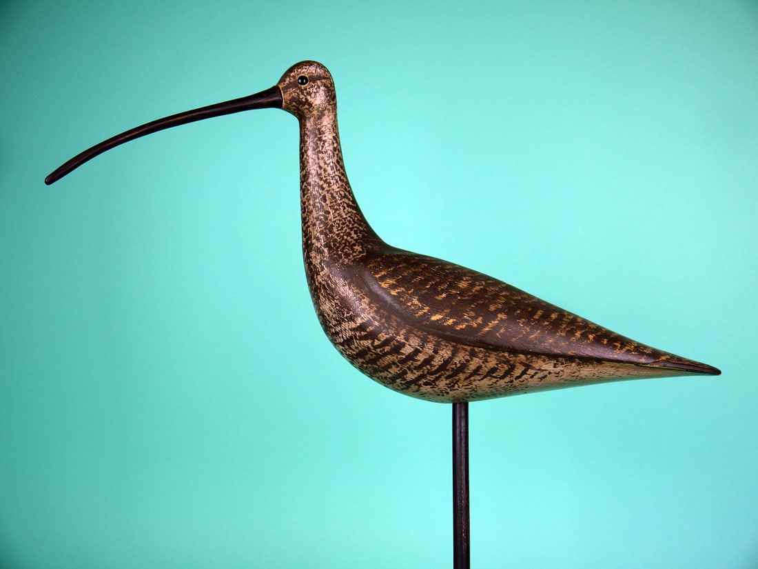 LONG-BILLED CURLEW, S. MOREY: VERY FINE LONG-BILLED CURLEW by Steve Morey, Tuckerton, NJ. Very good original paint and structural condition. Hollow construction. Relief-carved wings with carved wing separation and wing tip