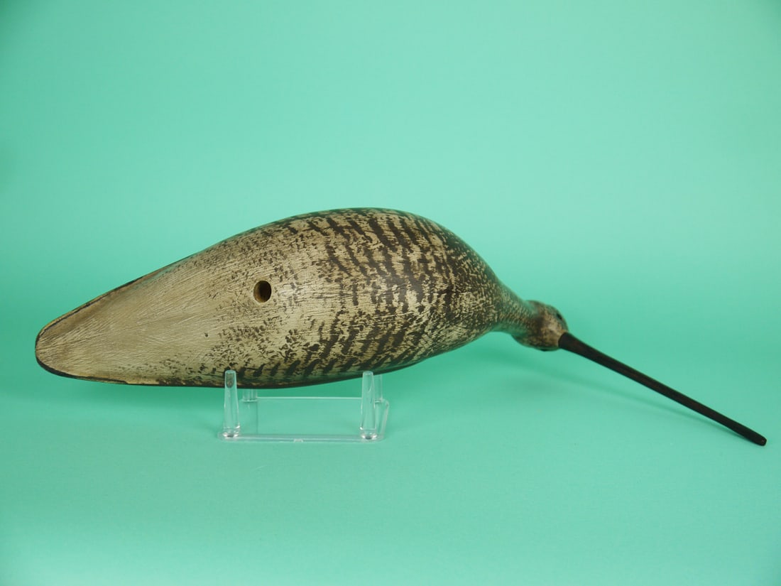 LONG-BILLED CURLEW, S. MOREY - 4