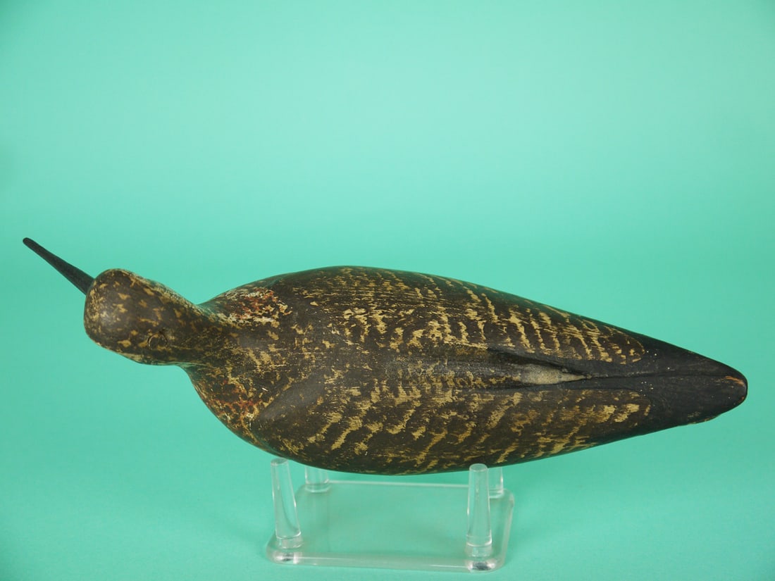 DOWITCHER, S. MOREY - 4