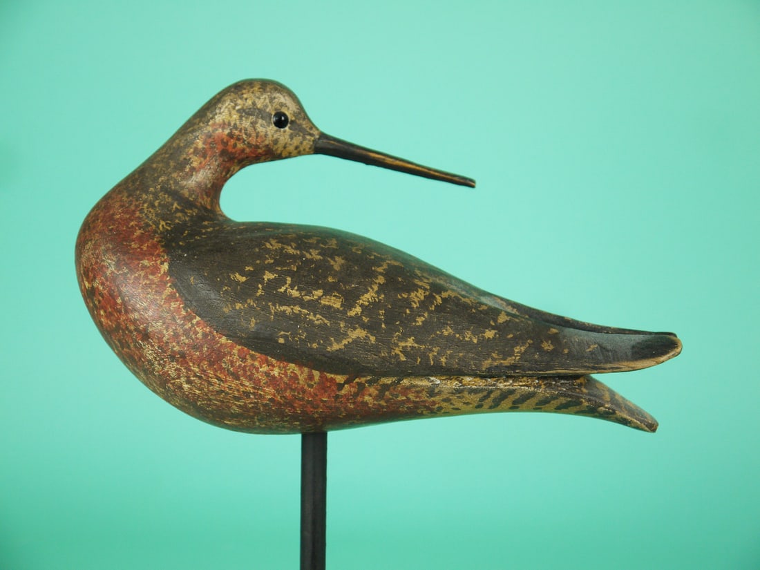 DOWITCHER, S. MOREY - 2
